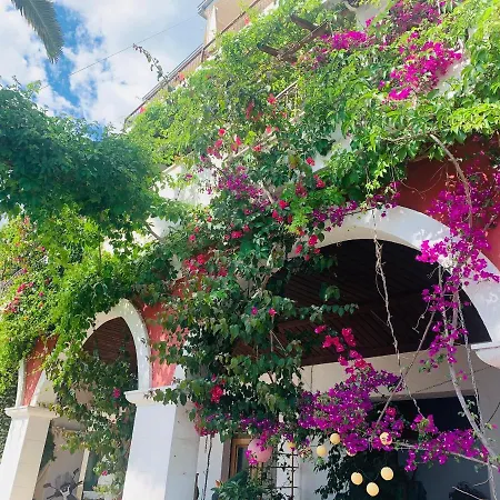 Apartment Bouganville Seafront Studio